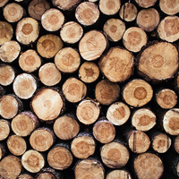 県産木材のサムネイル画像